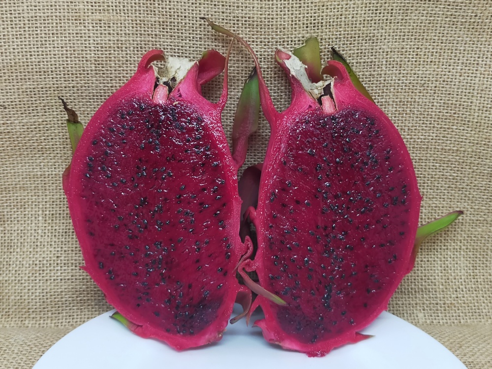 Common Red dragon fruit picture